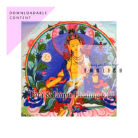 [Digital Distribution] MP3 ZIP FILE : TARA & JAUPU HEALING CD - Meditation CD ($20)