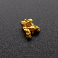 オーストラリア産 自然金 ナゲット1.23g #00007 | ZIPANNING SHOP