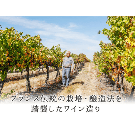 セール カベルネ・ソーヴィニョン ヴィニャ・マーティ Ser Cabernet Sauvignon Vina Marty 2021 (750ml)