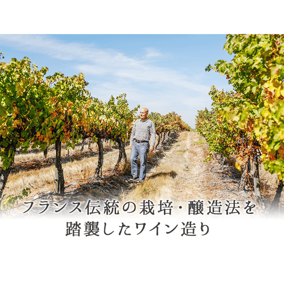 6a387f0d51c85c5314dc6477