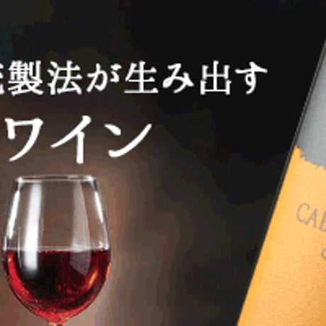 ピルカ・カベルネ・ソーヴィニョン ヴィニャ・マーティ Pirca Cabernet Sauvignon Vina Marty 2019(750ml)