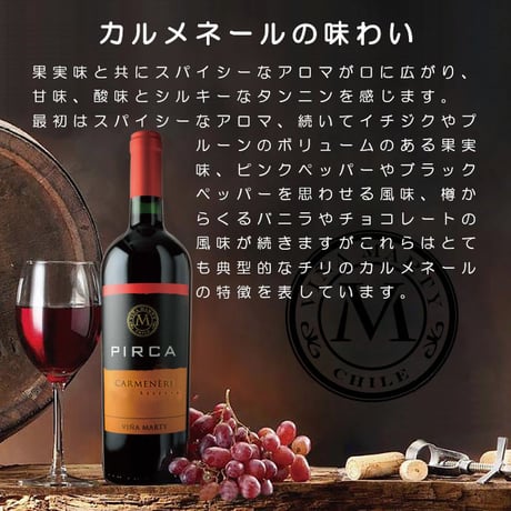 ピルカ・カルメネール ヴィニャ マーティ Pirca Carmenere Vina Marty 2018 (750ml)
