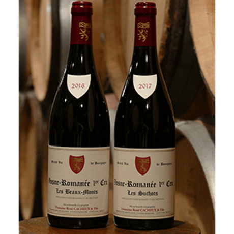 ルネ・カシュー ブルゴーニュ ルージュ レ・シャン・ダルジャン Rene Cacheux Bourgogne Rouge Les Champs Dargent 2018 (750ml)