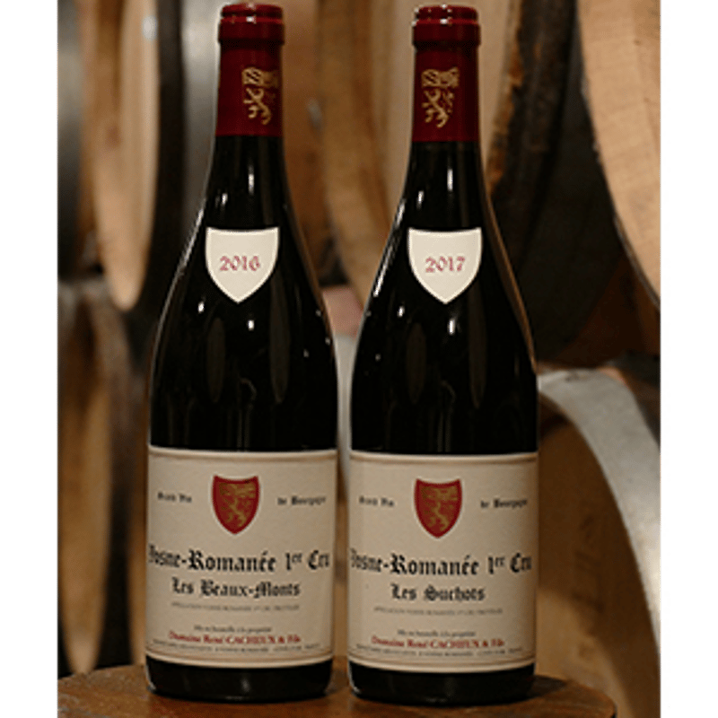 ルネ・カシュー ブルゴーニュ ルージュ レ・シャン・ダルジャン Rene