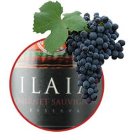 イライア・カベルネ・ソーヴィニョン ヴィニャ・マーティ Ilaia Cabernet Sauvignon Vina Marty 2019 (750ml)