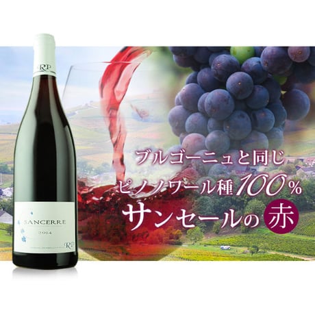 サンセール・ルージュ ドメーヌ・ランボー・ピノー Sancerre Rouge Domaine Raimbault Pineau 2019 (750ml)