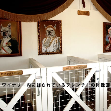 フレンチー・コラージュ  ジャン・クロード・ボワセ  Frenchie Collage Jean Claude Boisset  2022 (750ml)