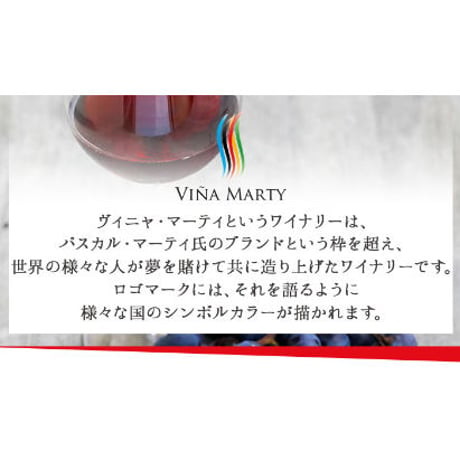 ピルカ・シラー ヴィニャ・マーティ Pirca Syrah Vina Marty 2019 (750ml)