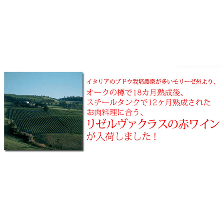 ビフェルノ・ロッソ・リゼルヴァ カミッロ・デ・レッリス Biferno Rosso Riserva Camillo De Lellis 2016 (750ml)