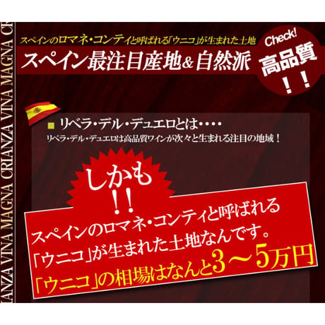 ヴィーニャ・マグナ・クリアンサ ドミニオ・バスコンシリョス Vigna Magna Crianza Dominio Basconsillos 2018 (750ml)