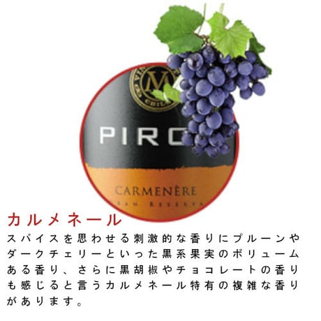 ピルカ・カルメネール ヴィニャ マーティ Pirca Carmenere Vina Marty 2018 (750ml)