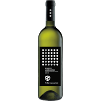 ボーヌ プルミエクリュ クロ デ ムーシュ ブラン Billard Gonnet Beaune