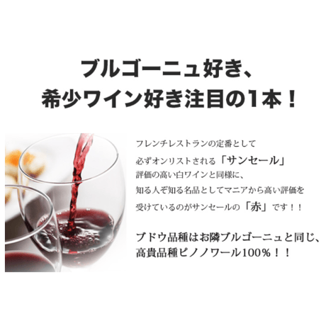サンセール・ルージュ ドメーヌ・ランボー・ピノー Sancerre Rouge Domaine Raimbault Pineau 2019 (750ml)