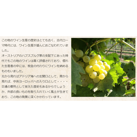 フリウラーノ ヴェンドラーメ Friulano Vendrame 2020 (750ml)