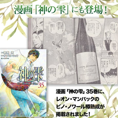 ピノ・ノワール・エルヴェ・アン・ミュイ レオン・マンバック Pinot Noir Eleve En Muid Leon Manbach 2022 (750ml)