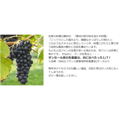 サンセール・ルージュ ドメーヌ・ランボー・ピノー Sancerre Rouge Domaine Raimbault Pineau 2019 (750ml)