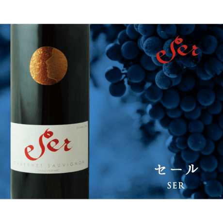 セール カベルネ・ソーヴィニョン ヴィニャ・マーティ Ser Cabernet Sauvignon Vina Marty 2021 (750ml)