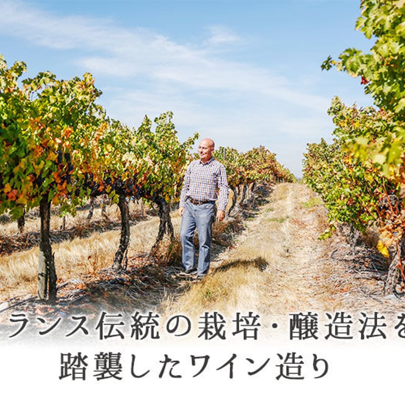ピルカ・カベルネ・ソーヴィニョン ヴィニャ・マーティ Pirca Cabernet