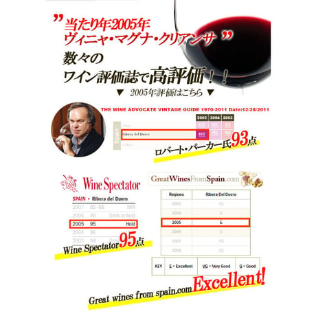 ヴィーニャ・マグナ・クリアンサ ドミニオ・バスコンシリョス Vigna Magna Crianza Dominio Basconsillos 2018 (750ml)