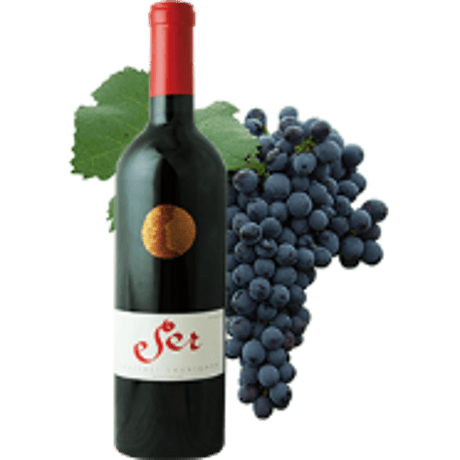 セール メルロ ヴィニャ・マーティ Ser Merlot Vina Marty 2015 (750ml)