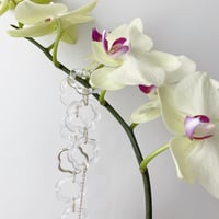 アクセサリー printemps gypsophilia925nc アクセサリー printemps gypsophilia925nc printemps