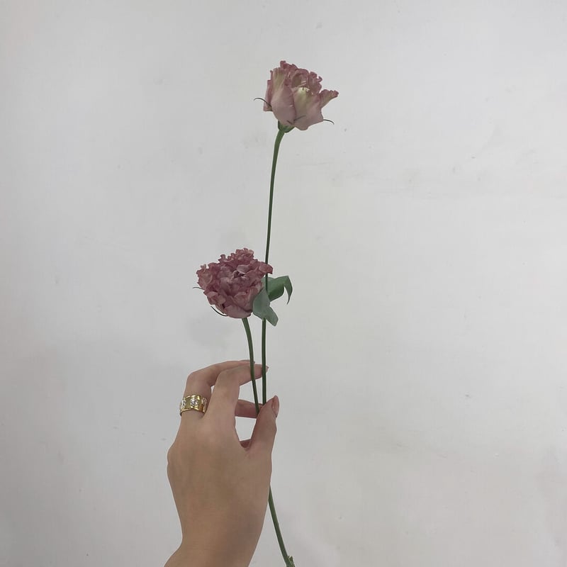 printemps リング 再販なし】printempsflowerring | printemps