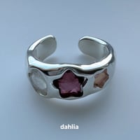 météore【dahlia】