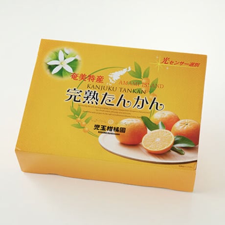 2児のママ 様♡★奄美大島産★奄美の完熟たんかん10キロ 2児のママ 様♡☆奄美大島産☆奄美の完熟たんかん10