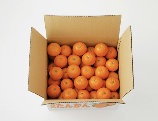 糖度10度以上】奄美完熟たんかん10㎏(2L、Lサイズ） | 児玉柑橘園