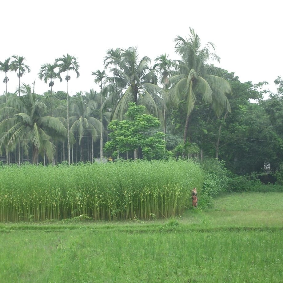 6296bf6905362456119b327c