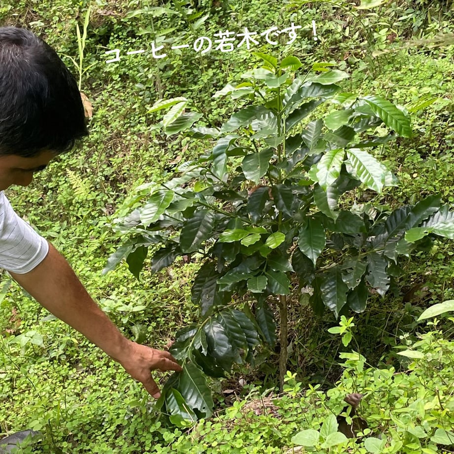 5fc78d0c935fcc32fe5cfcd7