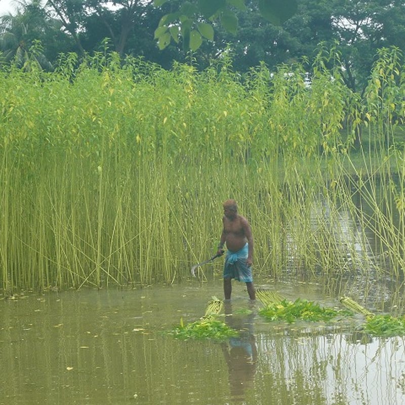 ジュートバッグ エイブルアート「オオハシ」｜8369 | Craftlink