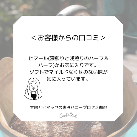 珈琲粉S：太陽とヒマラヤの恵み ハニープロセス珈琲｜粉｜お試しサイズ｜ネパール産