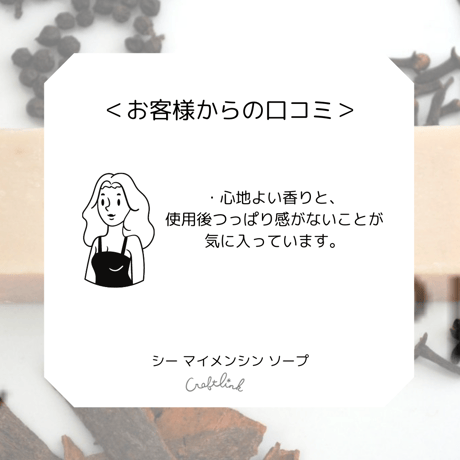 Sheソープ BODY 簡易パッケージ｜バングラデシュ製｜49007