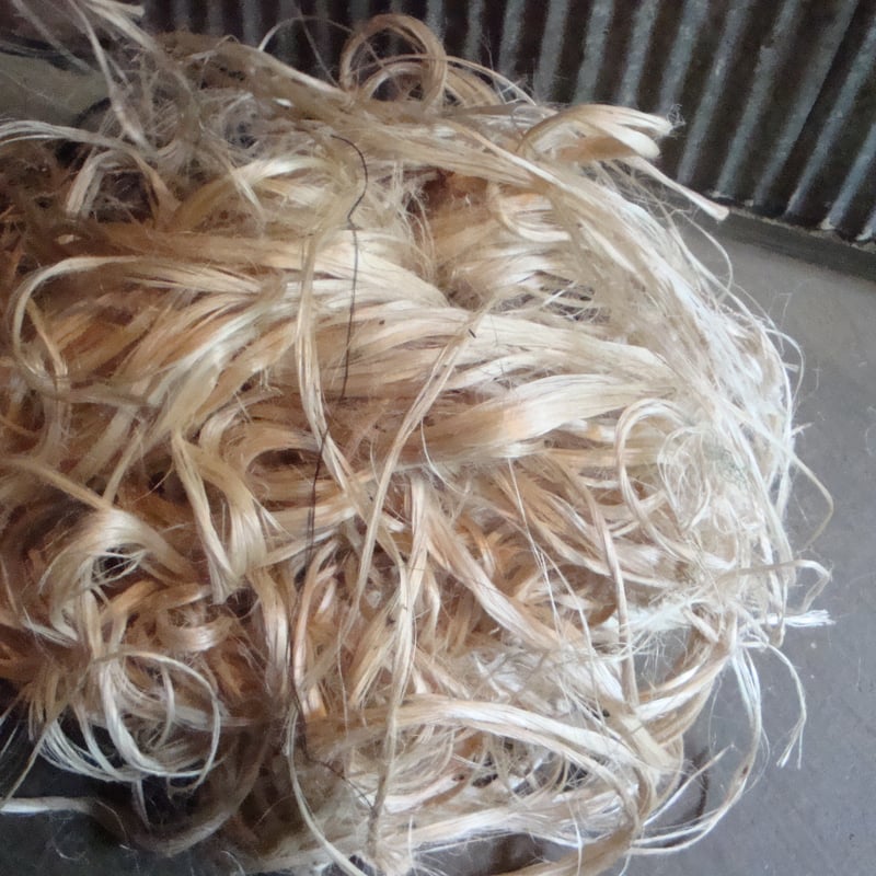 ジュートバッグ エイブルアート「オオハシ」｜8369 | Craftlink