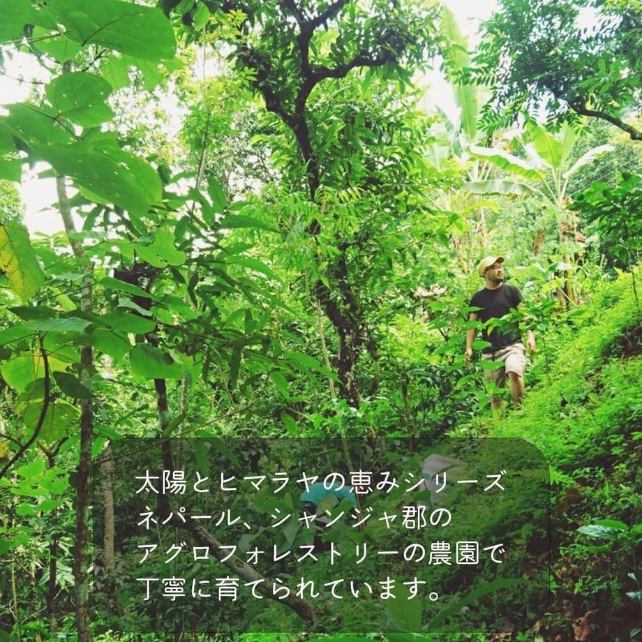 64eee32273db3d0036ae3ba6