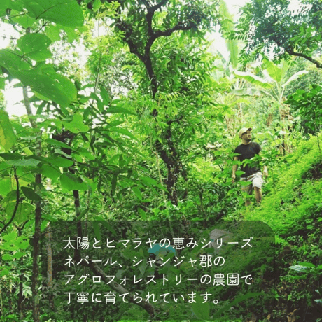 【6/22以降発送】ジュナールジャム｜16157