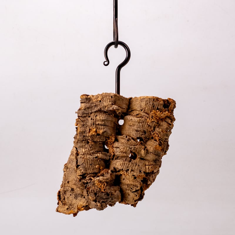 鉄のヒートン ヨート 引掛け金物 検: 着生用 コルク樹皮 ハンギング