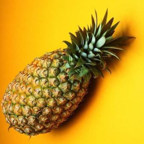 Cocoオイル100ml