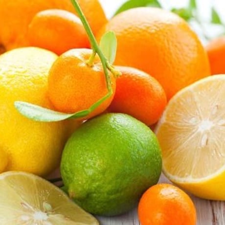 Citrus オイル100ml
