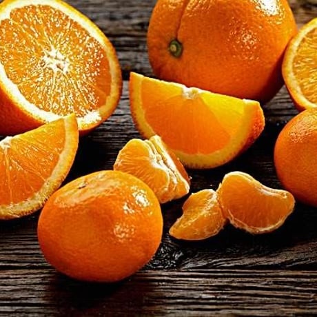 Citrus オイル100ml
