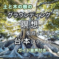 誘導瞑想『土と木のグラウンディング瞑想』をガイドする台本（スクリプト）・ガイド音声付き