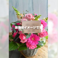 egg fes2026祝い花（小）あなたの名前とメッセージが入れられます♥