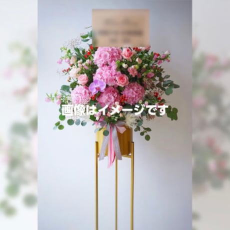 egg fes2026祝い花（大）＋卒業生全員のサイン入り集合写真プレゼント特典付き♥