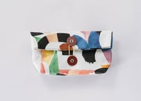 aap pouch｜河合浩