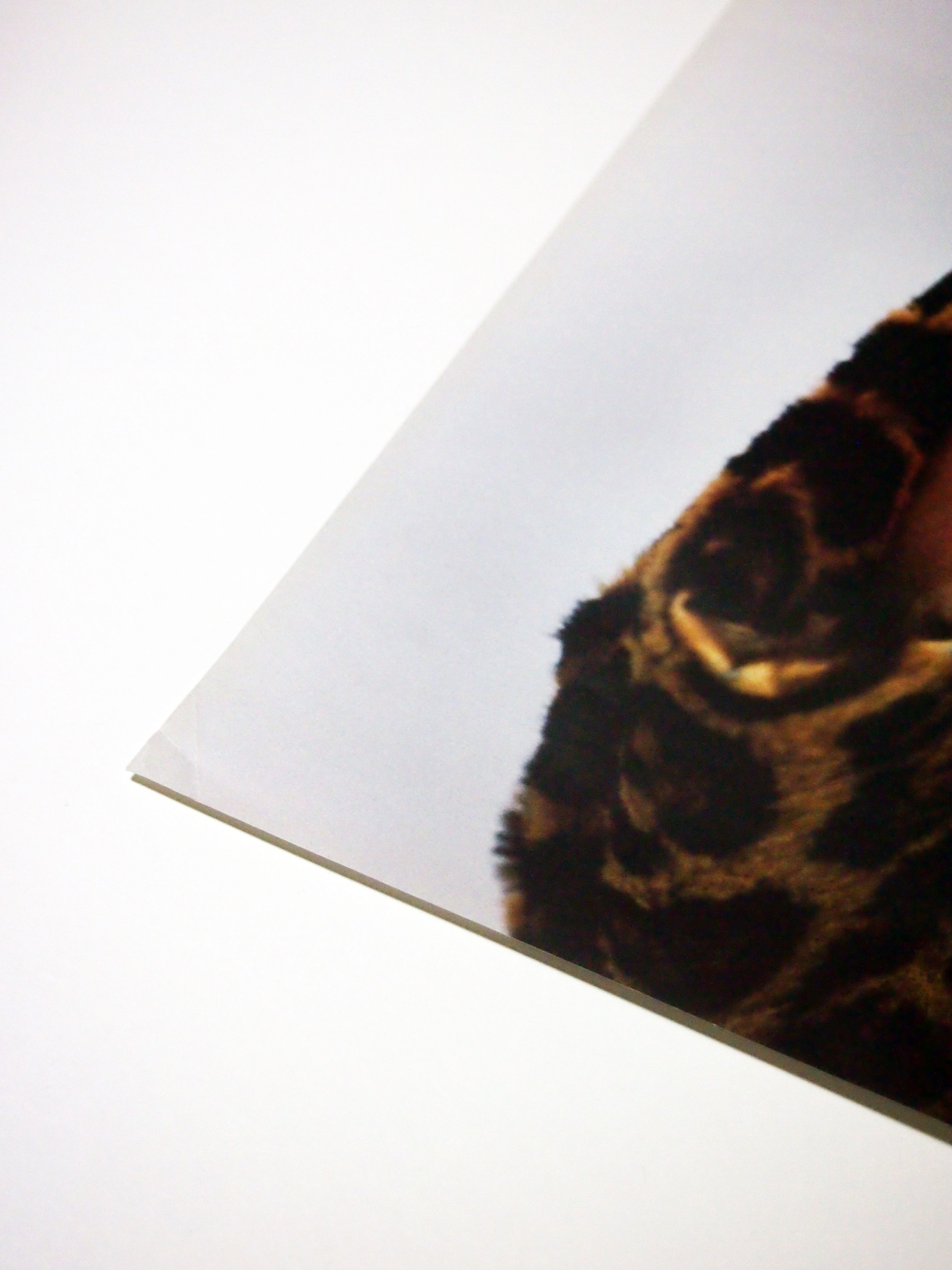 Supreme/ Kate Moss Poster | OWL OF ORCHARD™︎