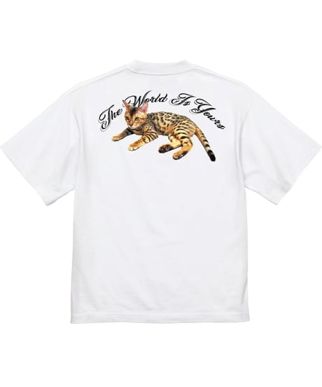 DEALERS PLAYERS/ Printed Kevin T-shirt (White)