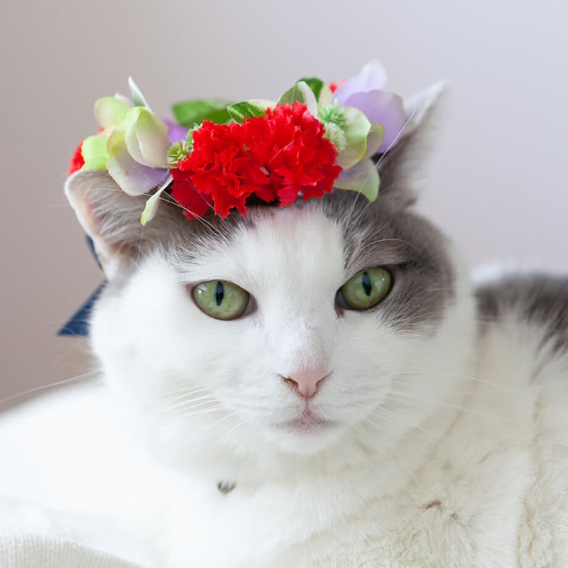 花かんむり Thanks Mom（Red）アーティフィシャルフラワー | HIBIYA-KAD 