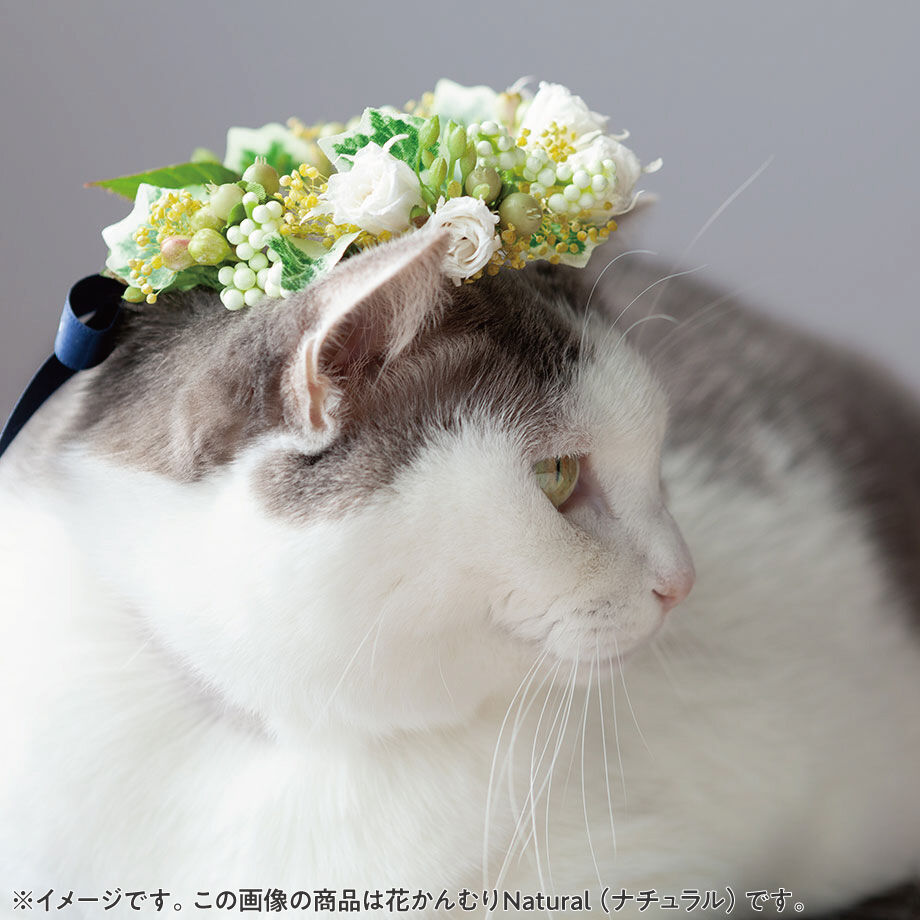 63d79a1239da5f7d500c57b2
