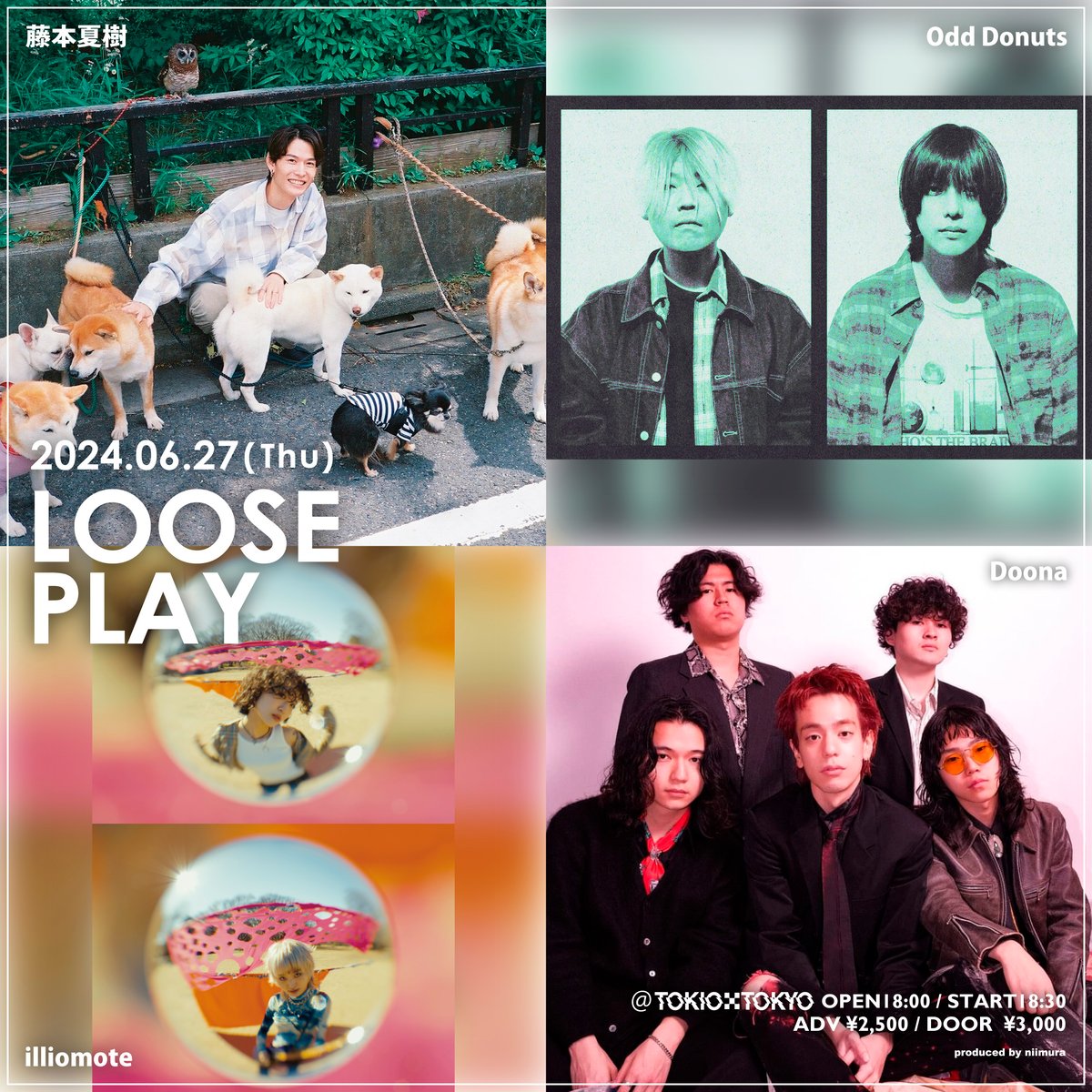 illiomote / Doona / Odd Donuts / 藤本夏樹 】LOOSE